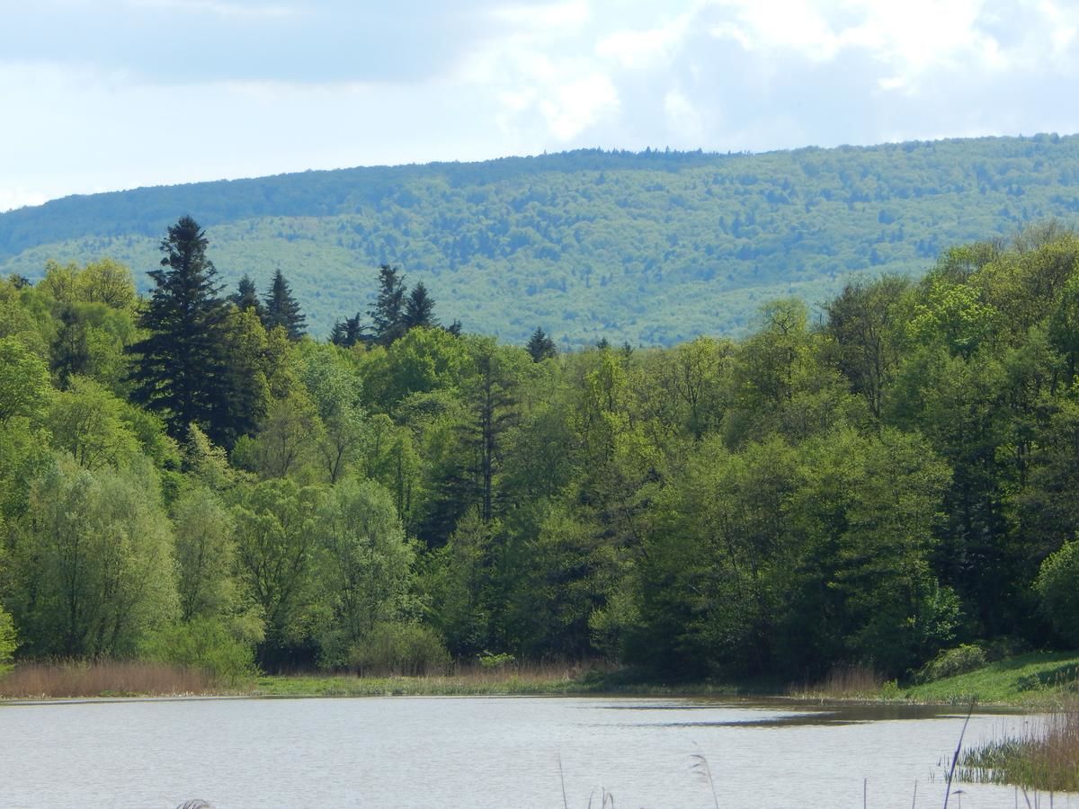 Отель Марко Отель Трускавец-16