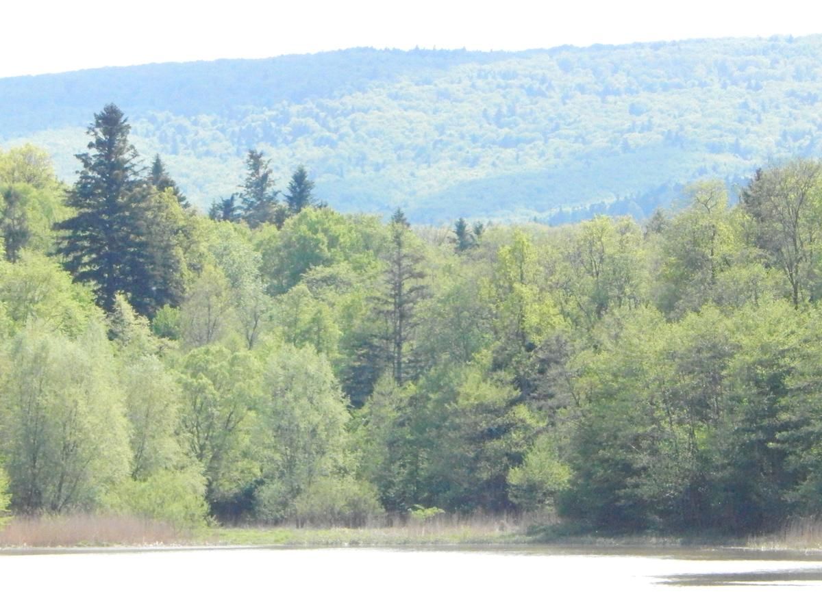 Отель Марко Отель Трускавец