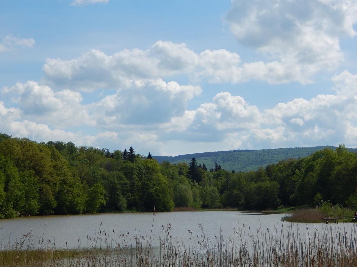 Отель Марко Отель Трускавец